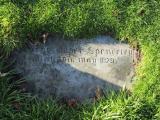 image of grave number 942015